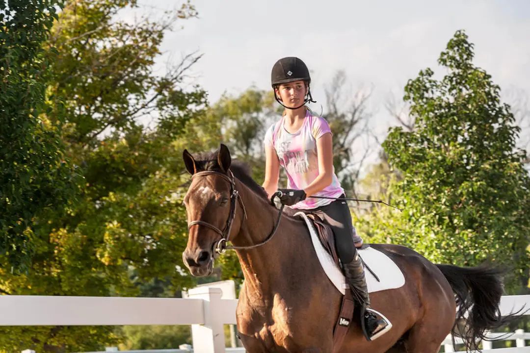 为什么马术的女生多,为什么女性骑手越来越多