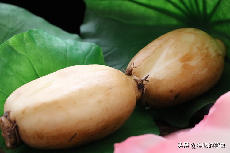 各种蔬菜的保鲜储存方法,各种蔬菜的储存保鲜方法