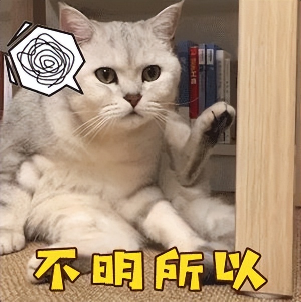 新手入门基金教程,新手基金入门基础知识大全