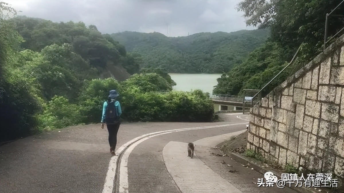香港徒步麦理浩径全程攻略介绍,香港狮子山徒步攻略