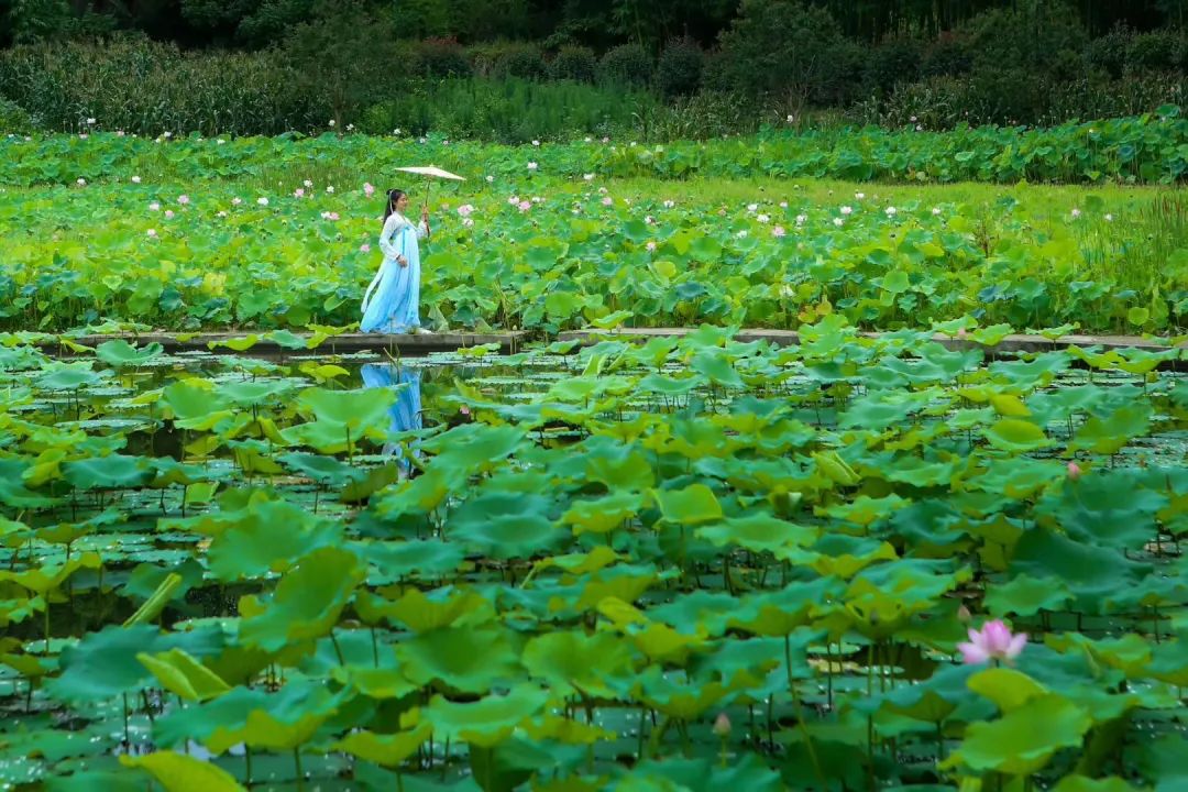 一起小住甜城，邂逅一个仲夏之梦