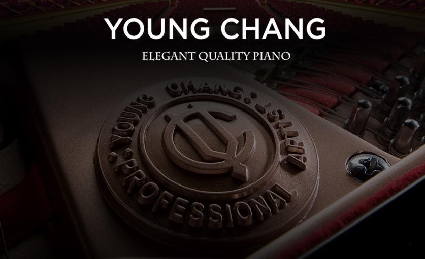 宁波买琴,宁波哪里有钢琴