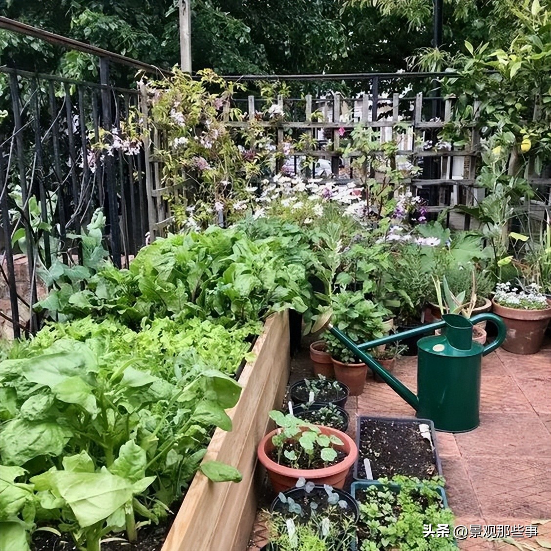 毫不犹豫的买了顶楼带露台的房子,顶楼带露台和二楼带露台