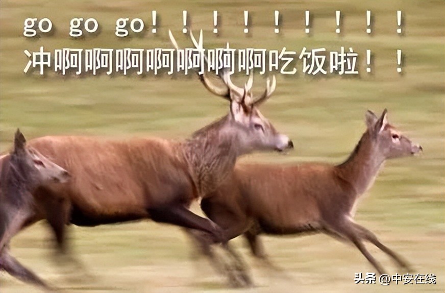 池州可以露营的湿地公园,池州户外露营地推荐