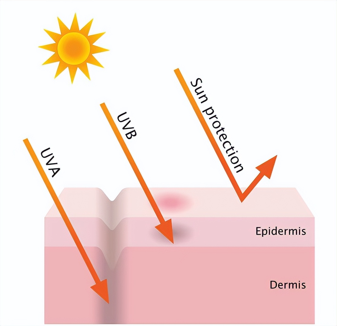 夏季防晒霜排行榜前十名,夏天防晒霜排行榜第一名
