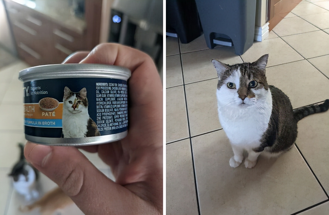 100张有趣的视觉图片,100张有趣的对比图片