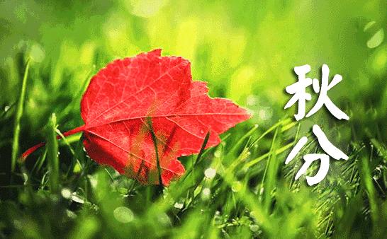 周五问候祝福动态表情图片大全，做一个善良的人，做快乐的自己