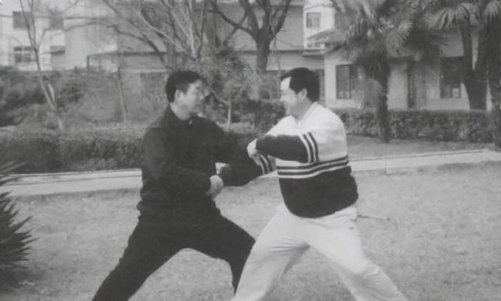 马保国为何装疯卖傻,曾经被大家嘲讽的马保国