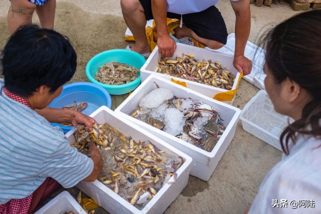 去舟山朱家尖住哪里方便,自驾游到舟山朱家尖怎么安排住宿