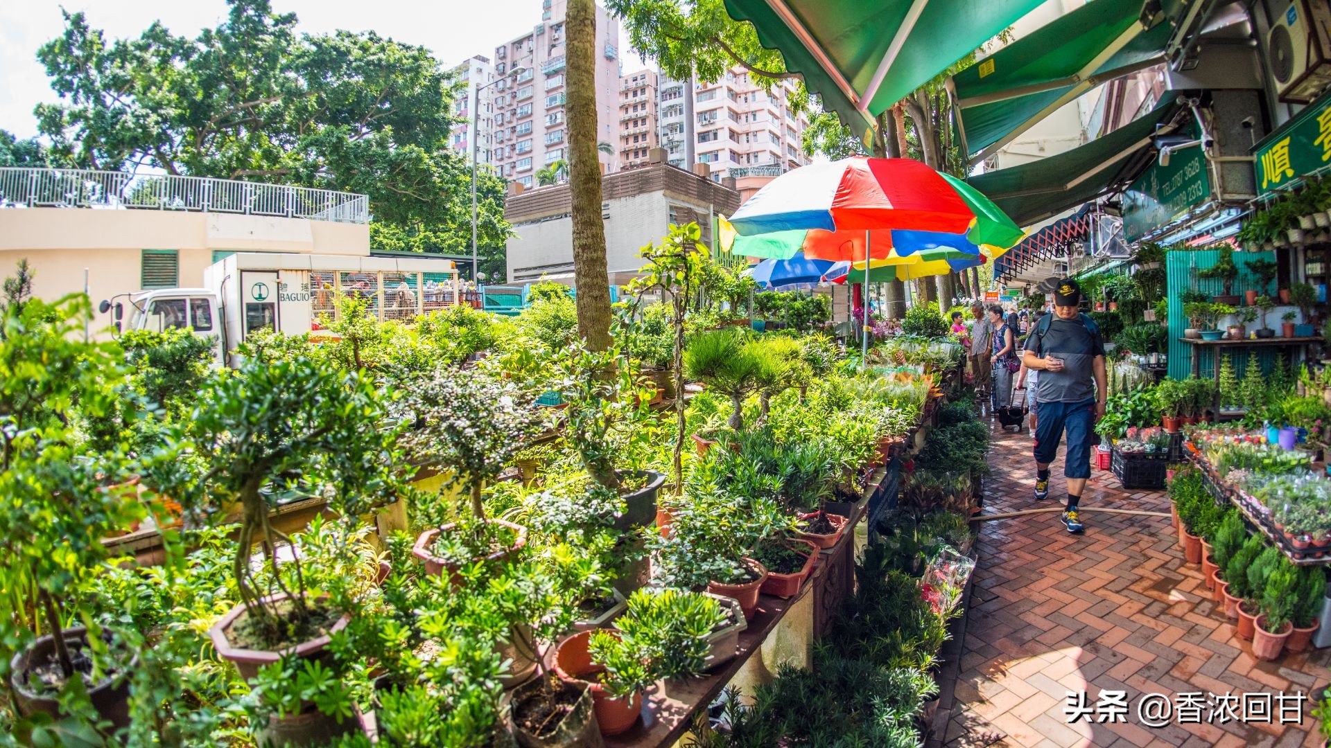 著名的购物街 (顶级购物街)