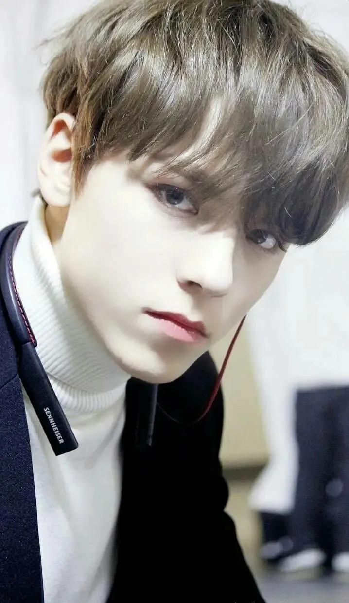 seventeen回归询问帖,seventeen大发语录