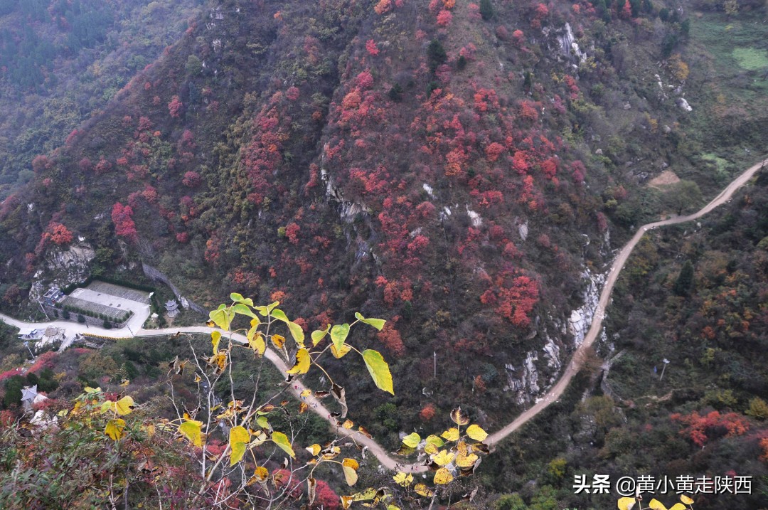 真没想到，蓝田还藏着一条通安康的古商道！很多人路过却不知道