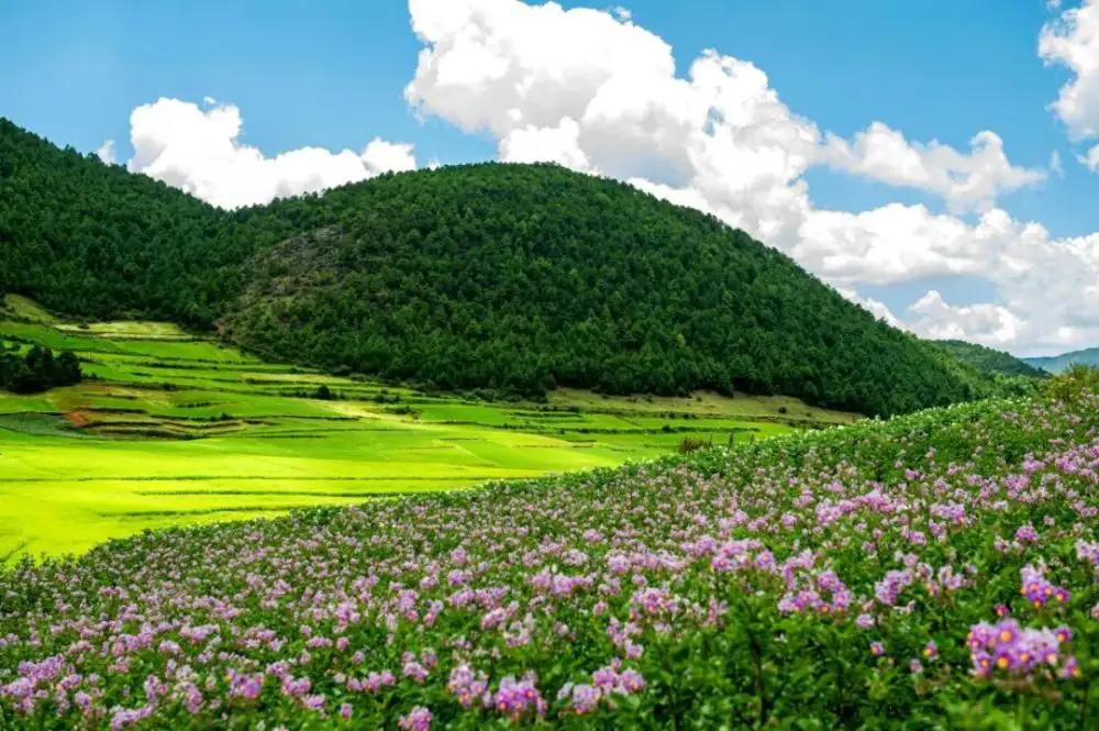 攀枝花领地阳光花城,攀枝花普达阳光康养胜地