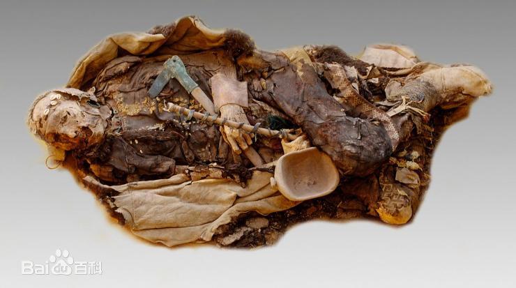 让尸体开口说话查案,让尸体说话纪录片