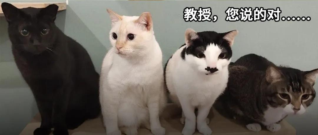 教授在我床头训诫医生：假如昨天当成囊肿开刀，就要出大事了