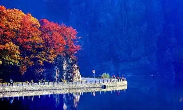 辽宁本溪市,辽宁本溪市共享租赁项目加盟电话