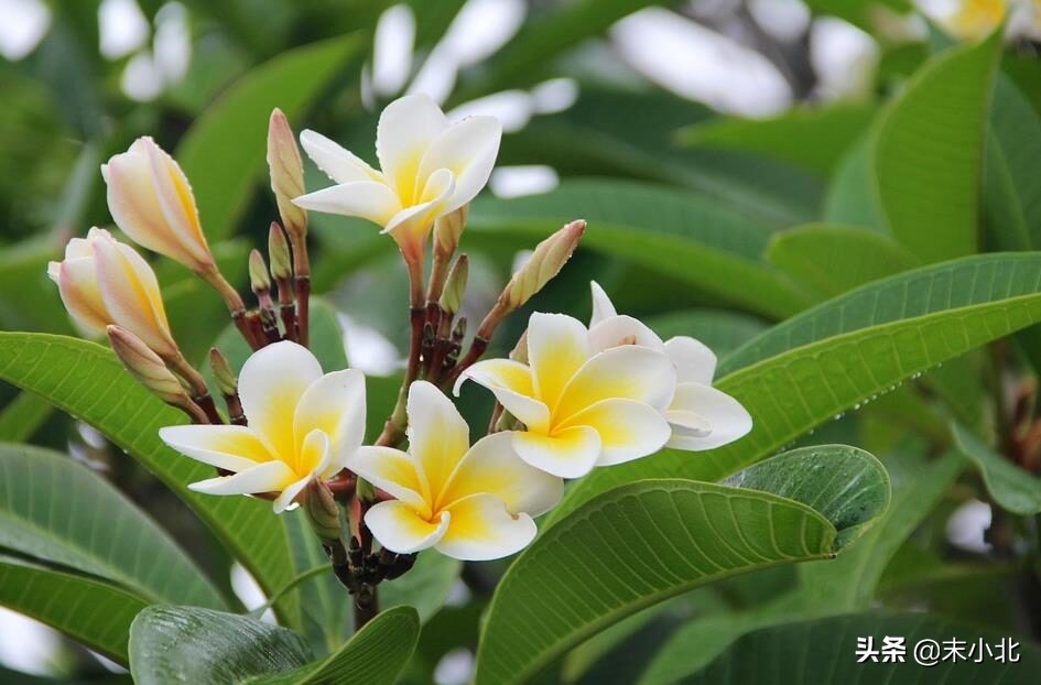 如果相爱的人不能再爱了怎么办,如果相爱的人不能在一起该怎么办