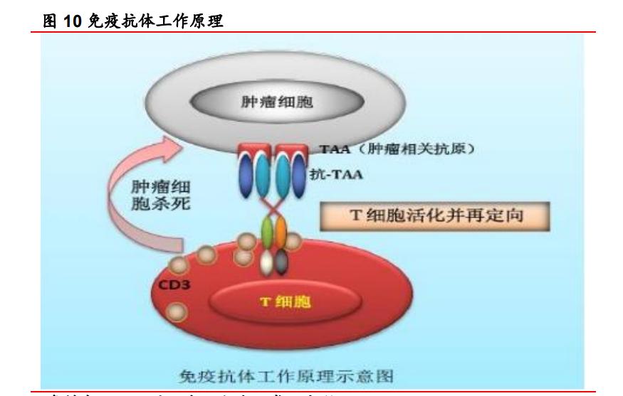 亿帆医药一季报,亿帆医药产品未来100倍的潜力股