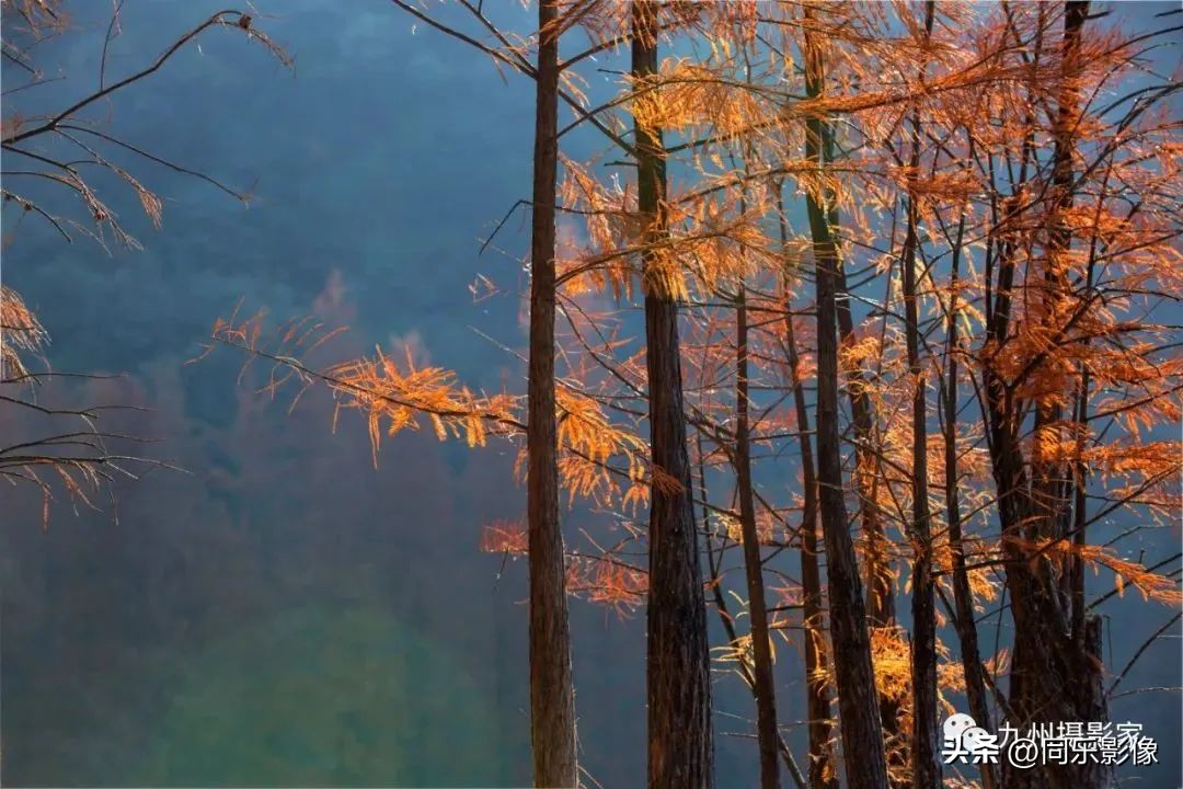 海阔凭鱼跃，天高任鸟飞---九州摄影浙江俱乐部优秀作品展