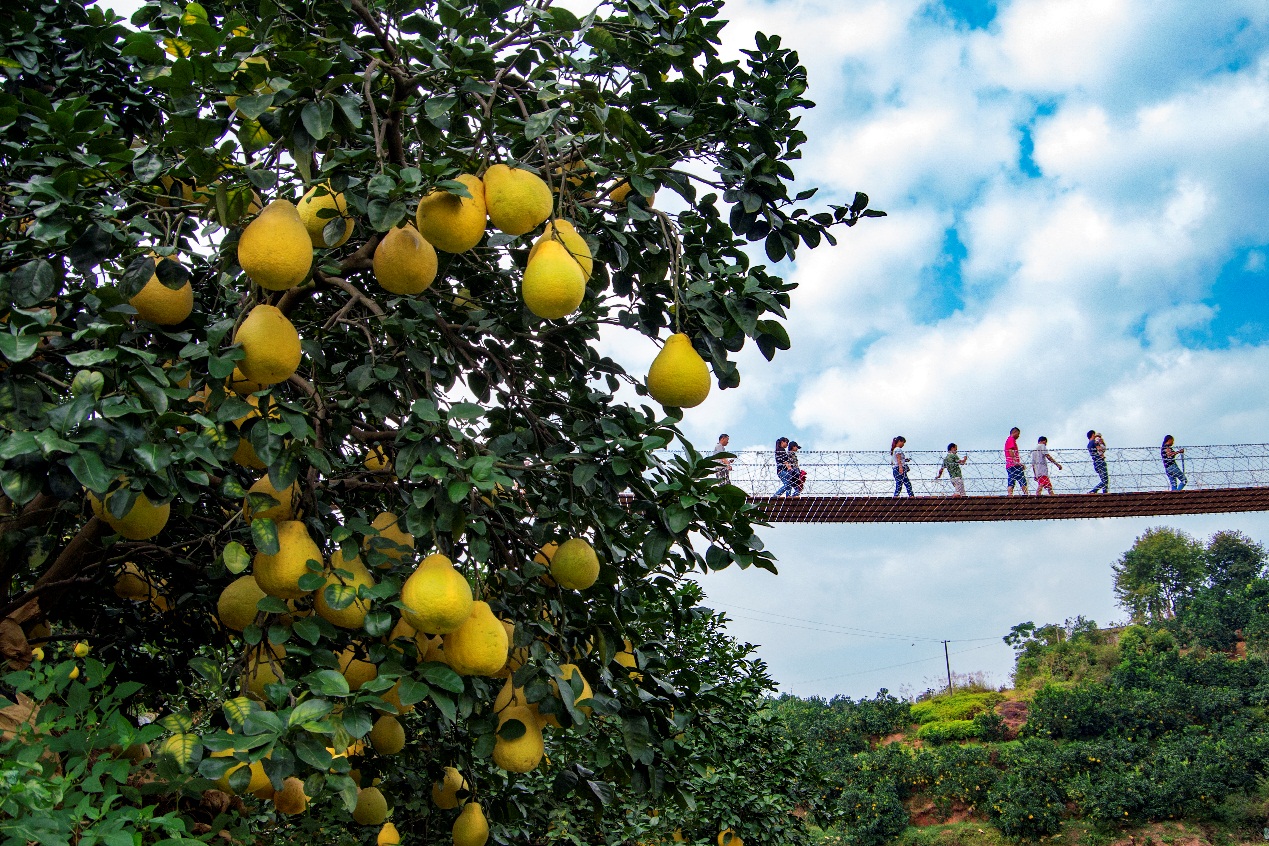 广西创建特色旅游名县,广西玉林特色旅游街区