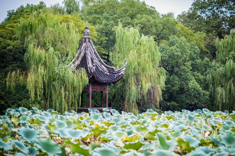 上海到张家界自驾游详细攻略,上海到西藏自驾游攻略最全详细