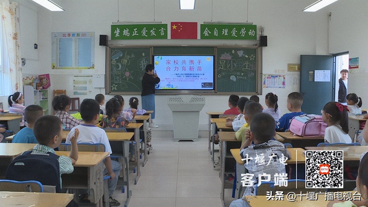 你好萌新是什么意思,你好萌新