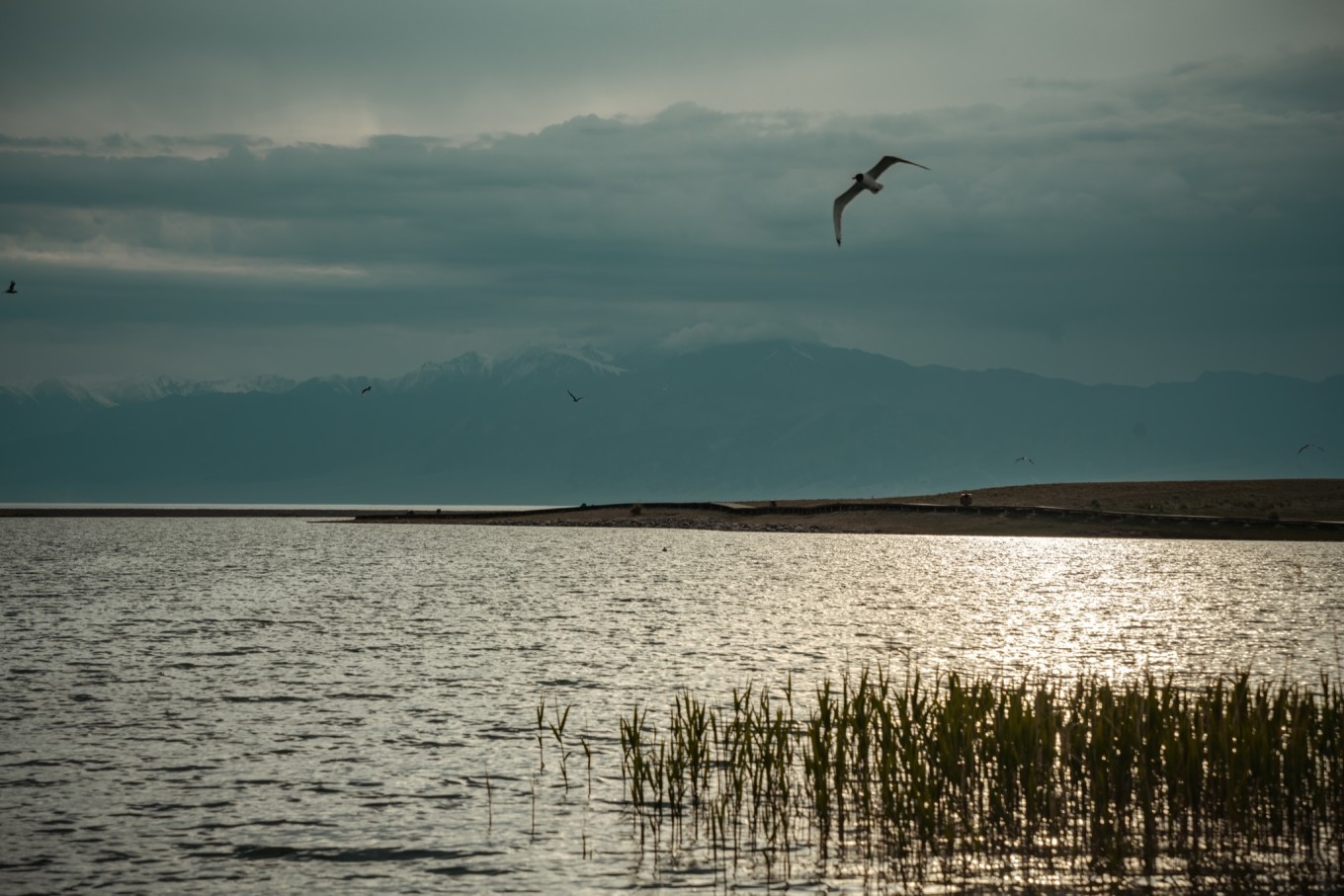 去新疆发现伊犁的美,世界之美尽在伊犁