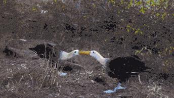 染了头发颜色不喜欢怎么办,染头发颜色不喜欢怎么办