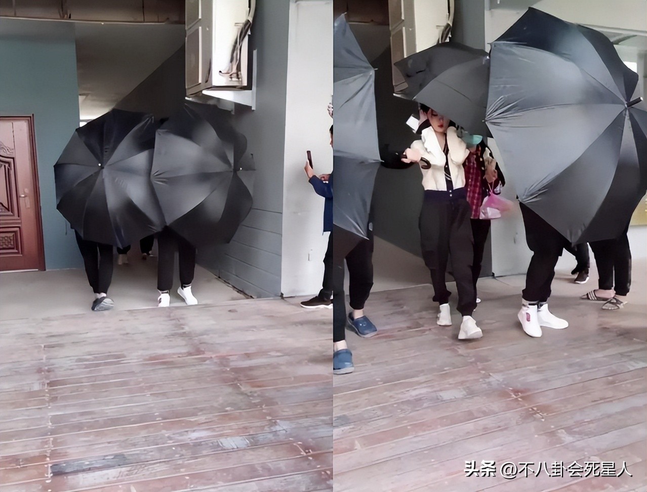 娱乐圈下跪事件,娱乐圈的真实拜高踩低