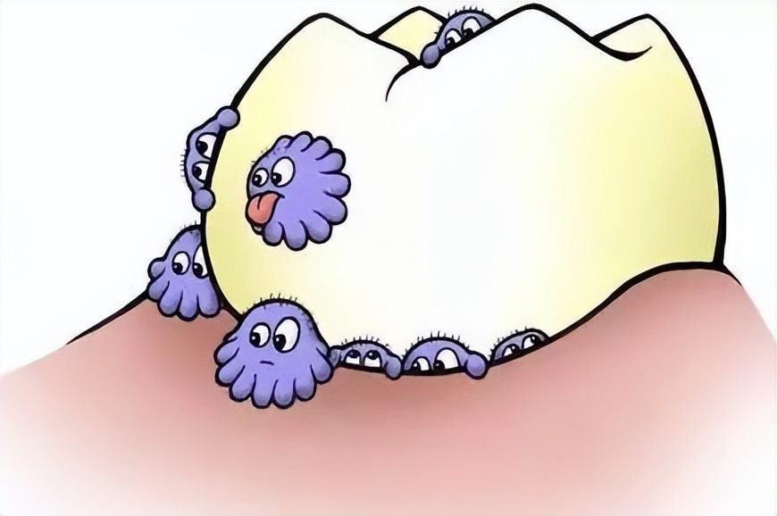 爱牙日正确刷牙的方式了解一下,全国爱牙日正确刷牙顺序宣传视频