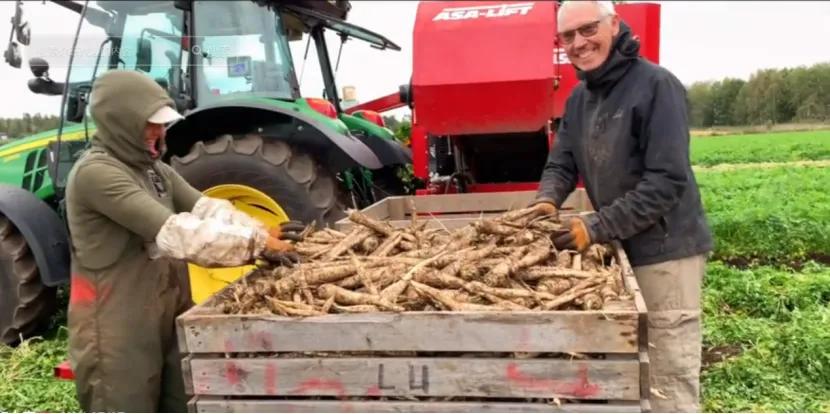 学习挪威语去挪威生活定居,中国人远嫁挪威受欢迎吗