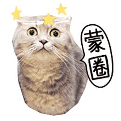 抓住春天的尾巴的句子,抓住春天的尾巴下一句