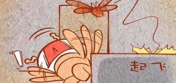 自制消灭蟑螂蚂蚁蚊子的小妙招,生活小妙招香蕉皮消灭蟑螂视频