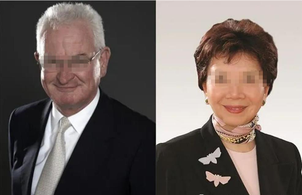 赘婿逆袭亿万富翁,赘婿百亿家产