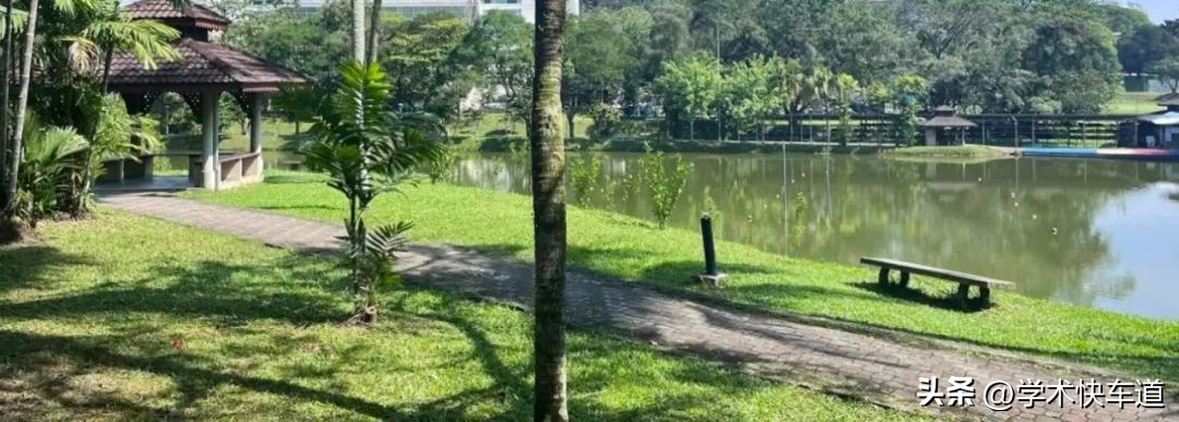 博士要发几篇文章才能毕业,博士写好毕业论文的10条建议