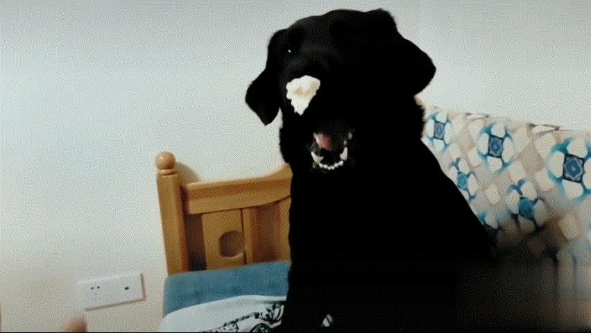 小蛇化身美杜莎,小蛇瞬间变成美杜莎