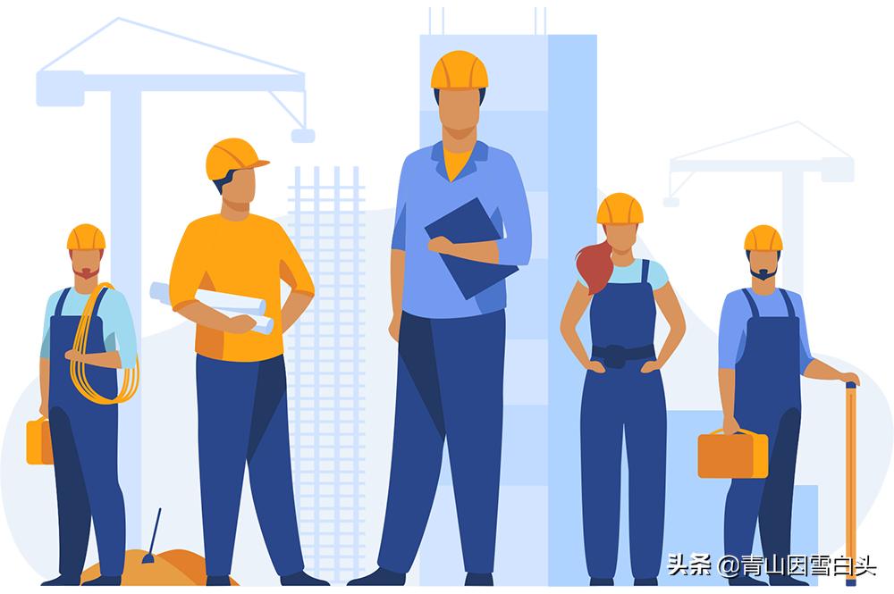 种树前景怎样,栎树种植前景如何