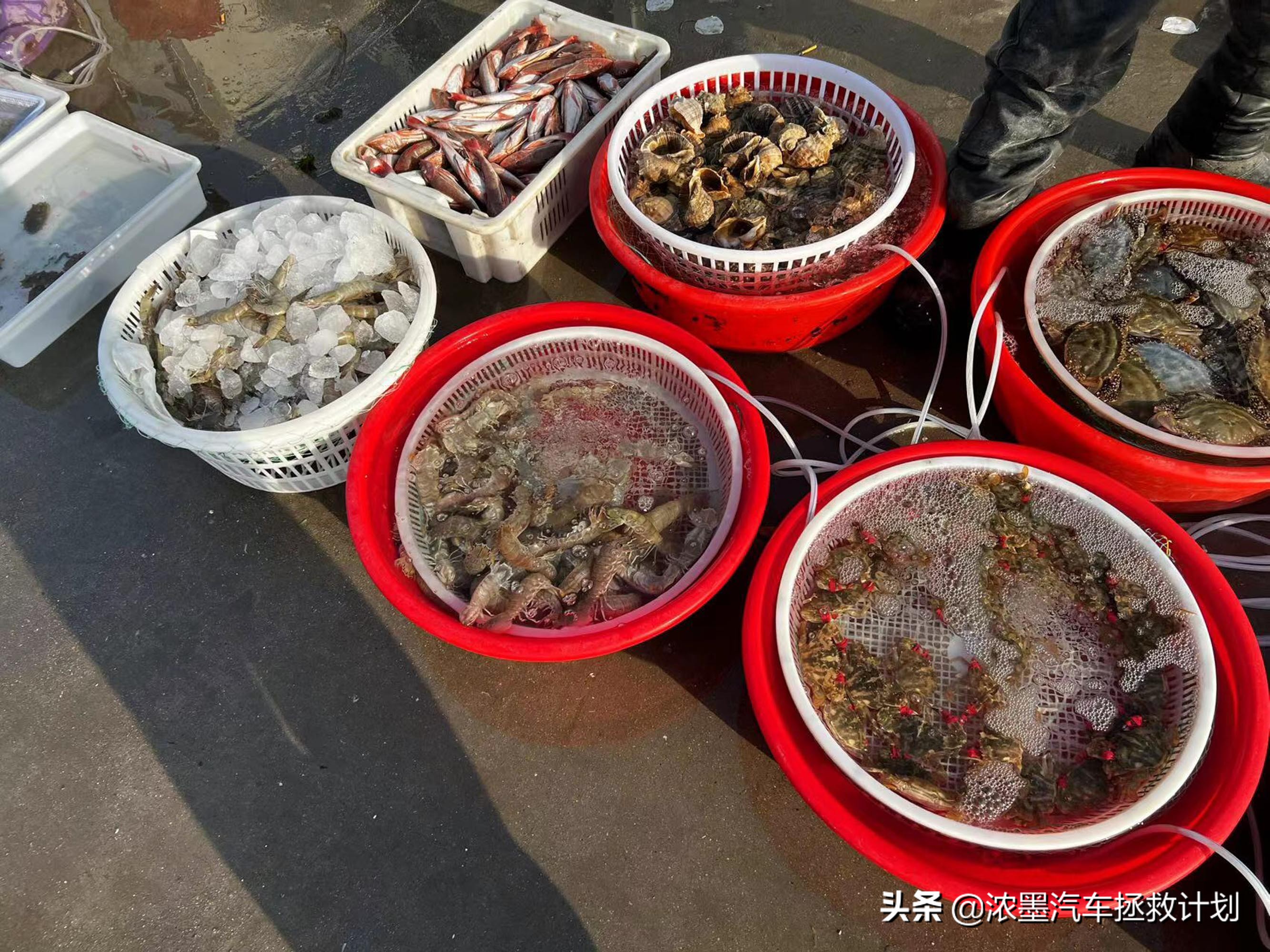 瀹岀編铚曞彉11娆惧疂椹瑇5婊¤澶嶆椿,鍏ㄩ潰鍗囩骇鏂颁竴浠ｅ疂椹瑇3缁嗚妭瀹炴媿