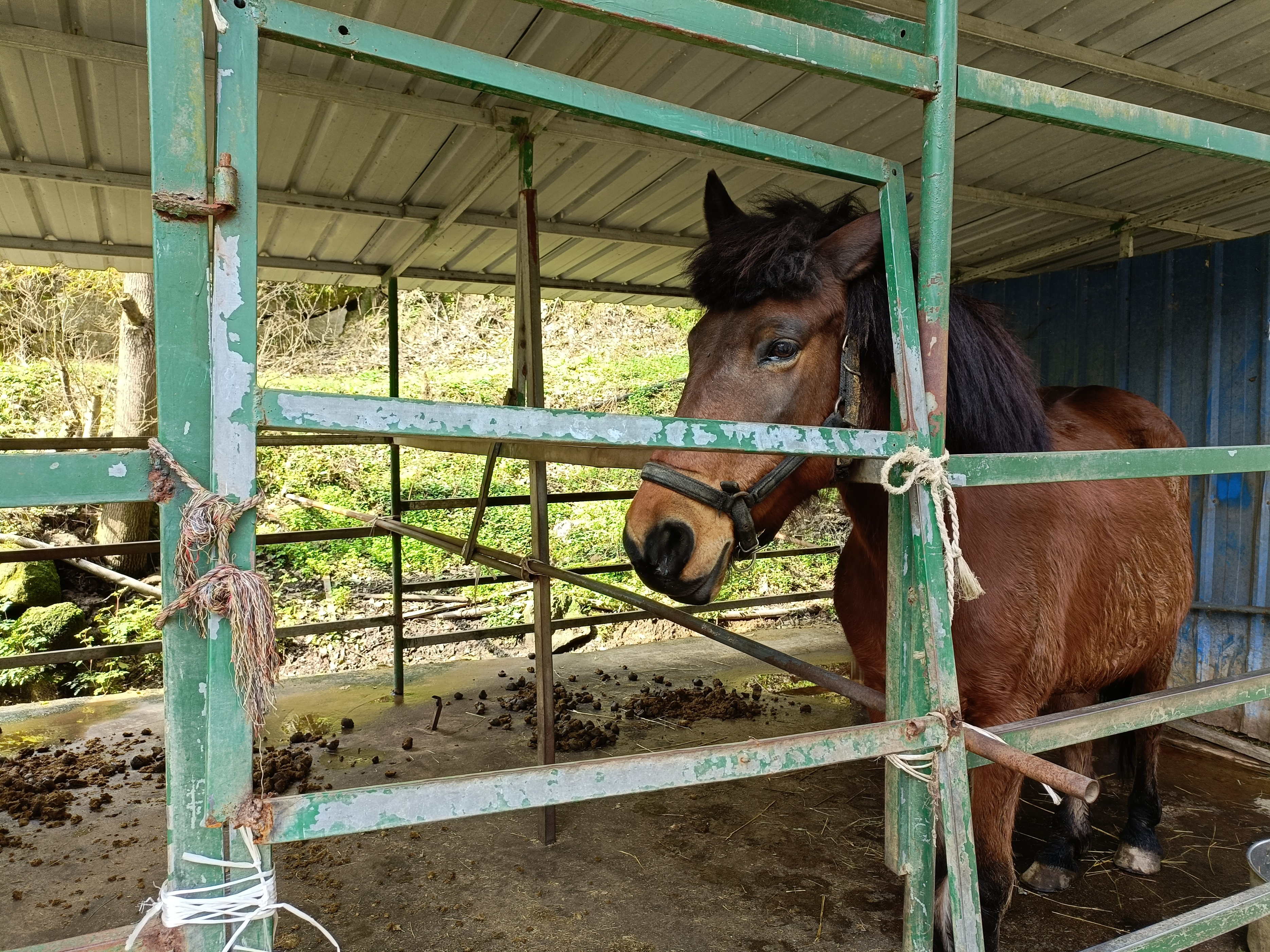 长沙冬天露营野炊地点推荐,长沙露营野炊免费地点