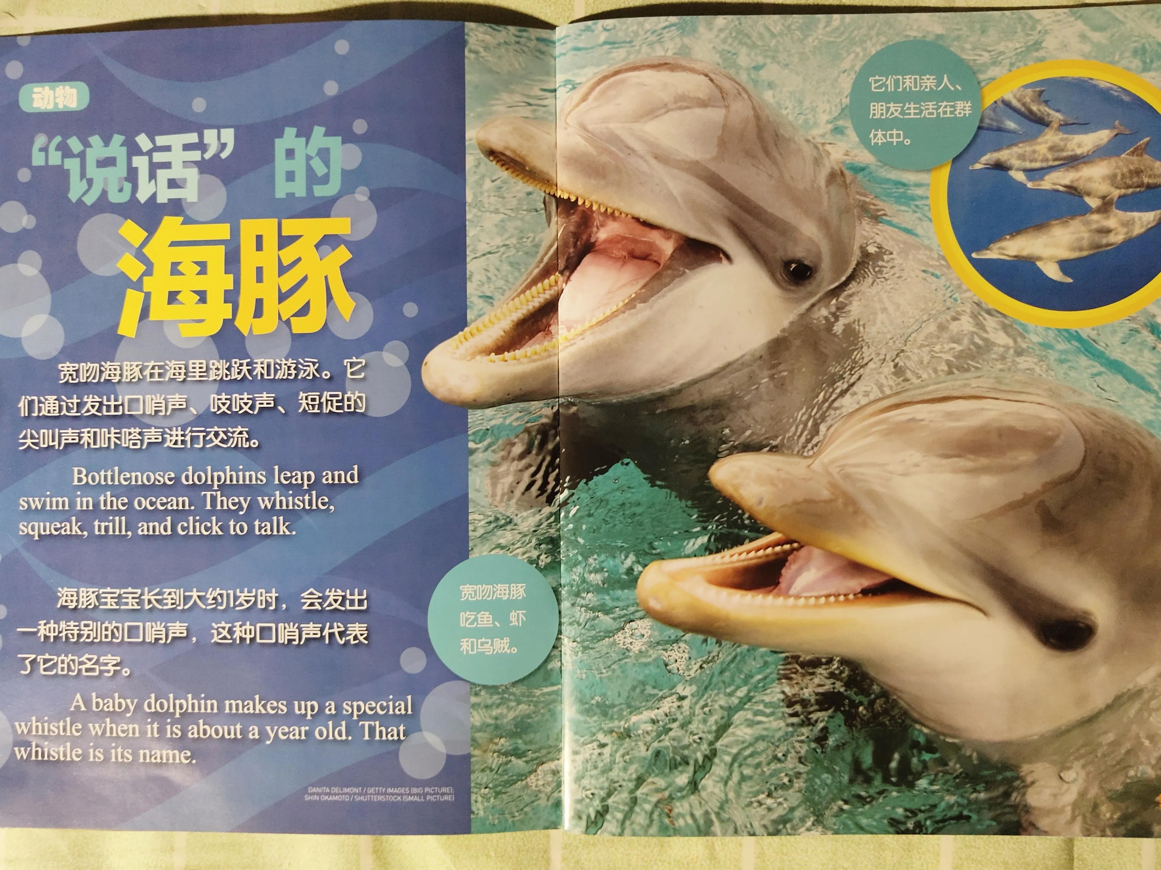 环球少年地理少年版适合多大孩子,环球少年地理阅读收获