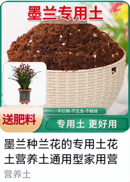 种菜推荐买哪个营养土好,种菜用什么牌子的营养土最好