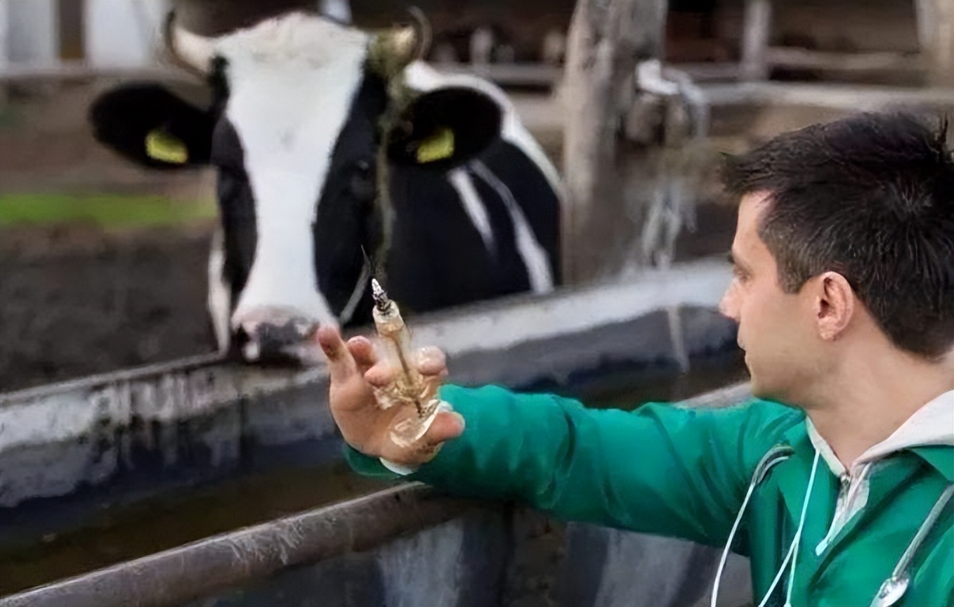 美国人滥用兽药治疗新冠中毒,美国用兽药治新冠