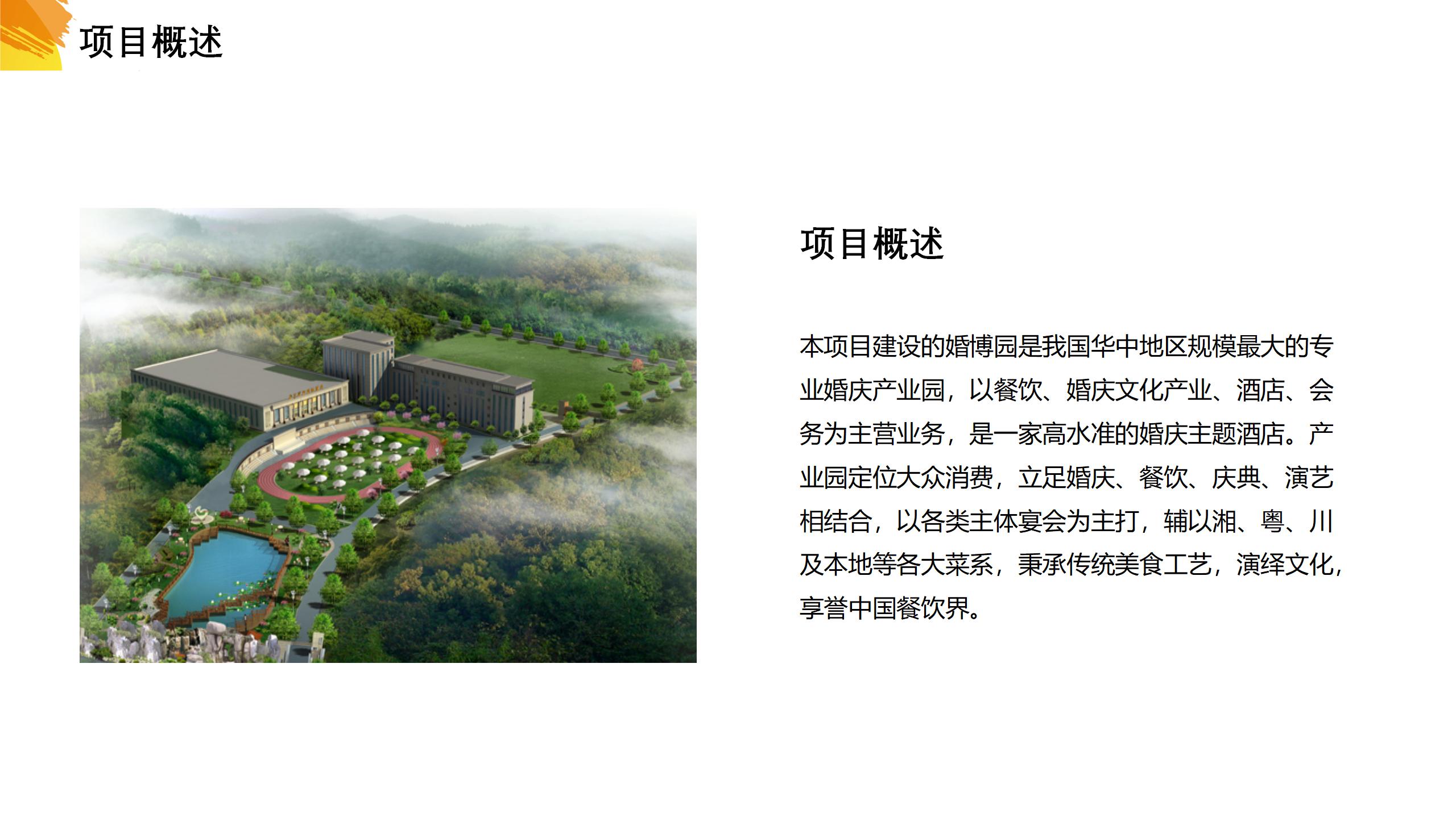 大丰商业计划书案例,商业项目开发计划书