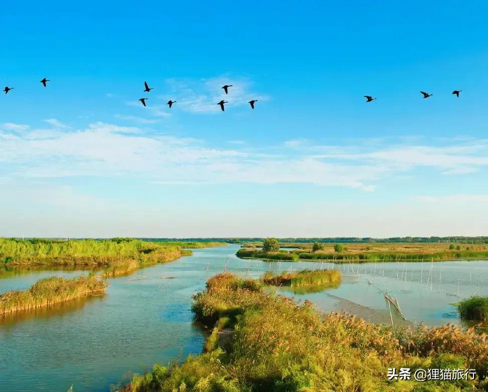 山东省单县有多少人口,山东单县第一名羊肉汤