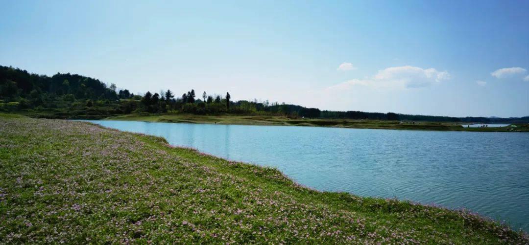 阿郎|浔阳诗画——那些花儿