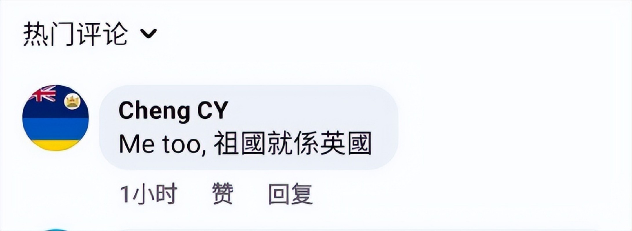 我是尊贵的英殖香港人！媚外港女发帖竟获认同：我的祖国是大英