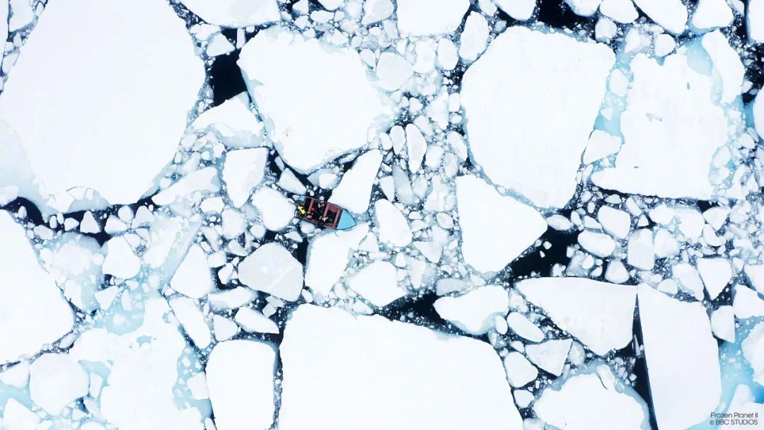 国产必看佳片,开年佳片推荐