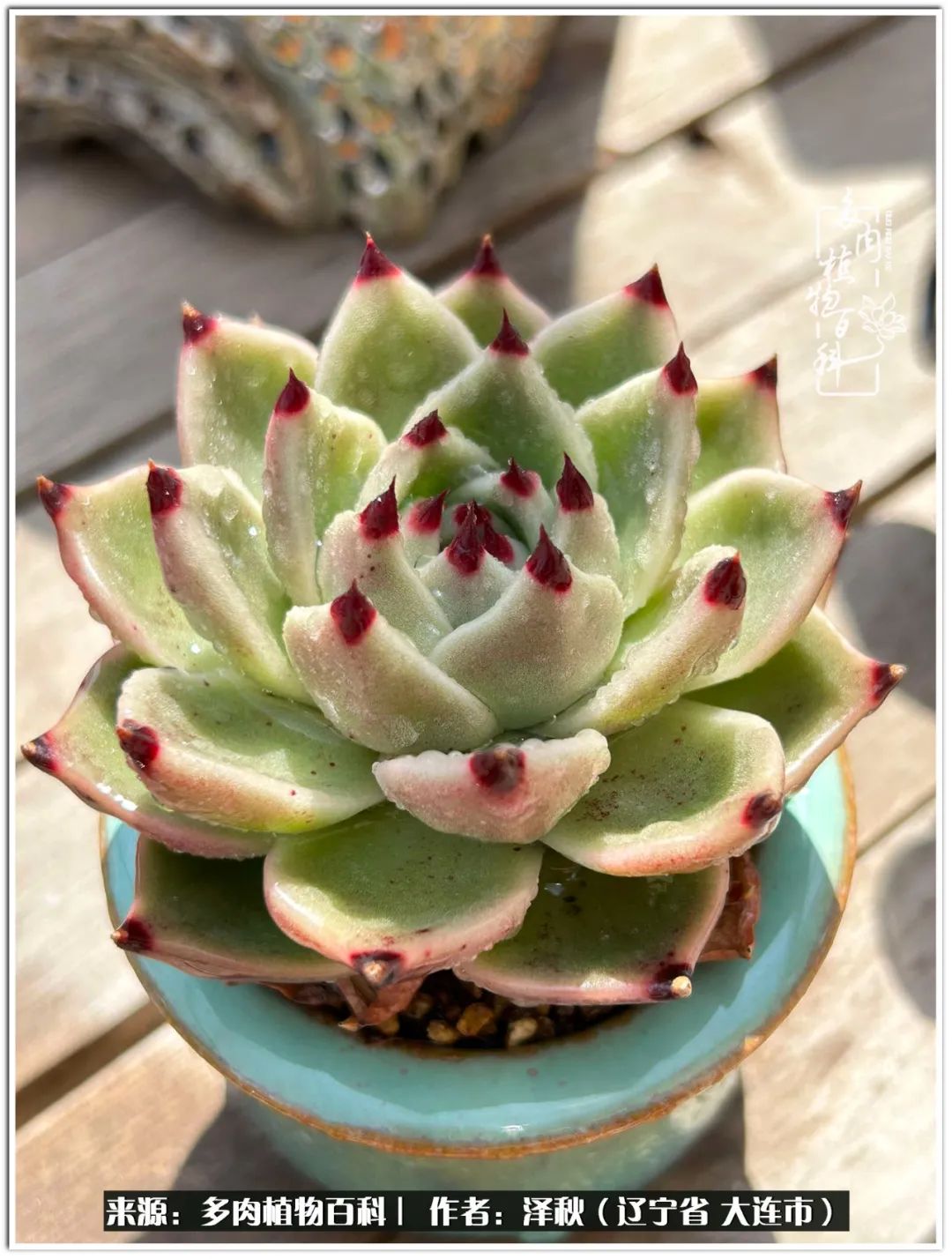 四季轮回之秋天,四季轮回之冬季