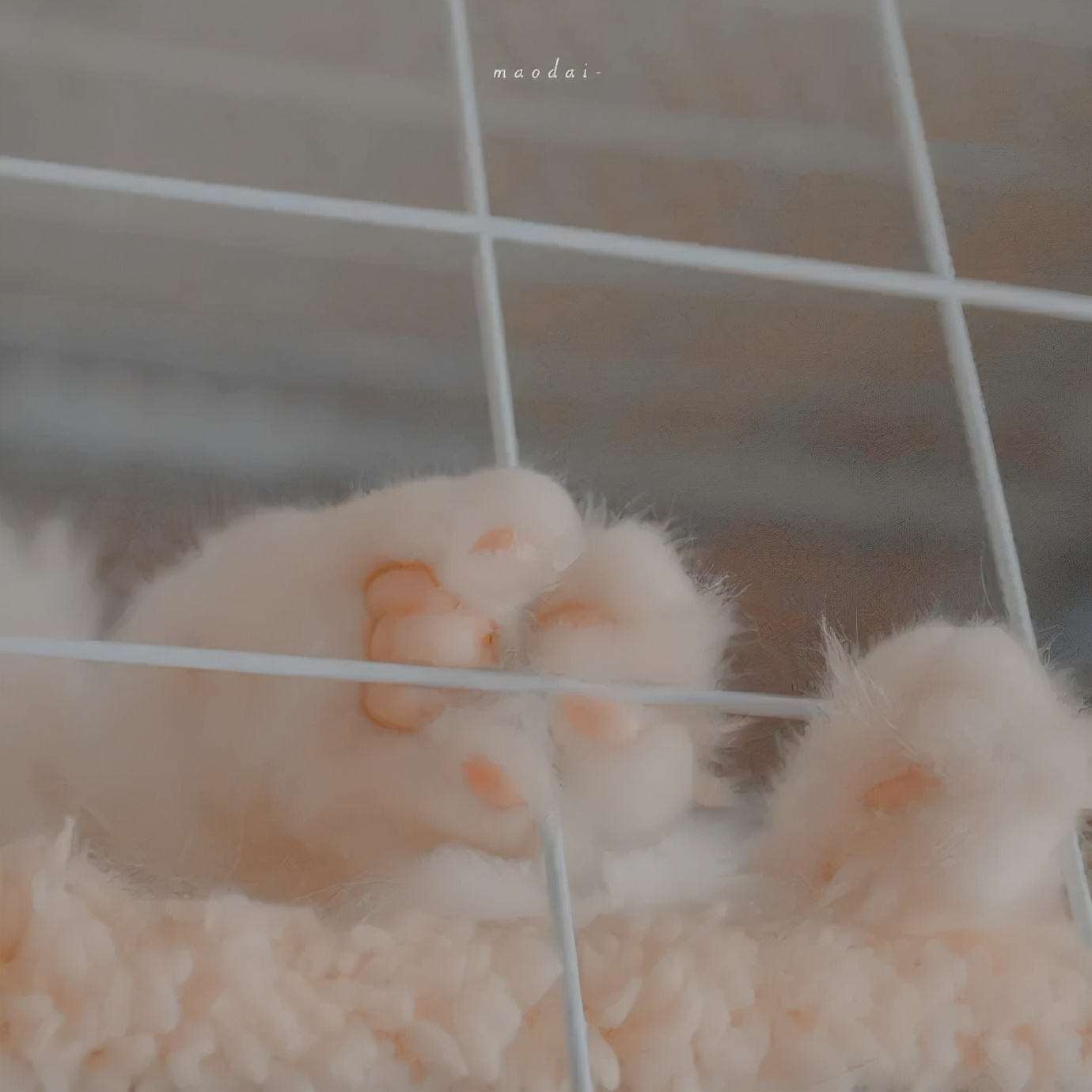 文案短句干净三观正,有哪些三观很正又很温柔的文案