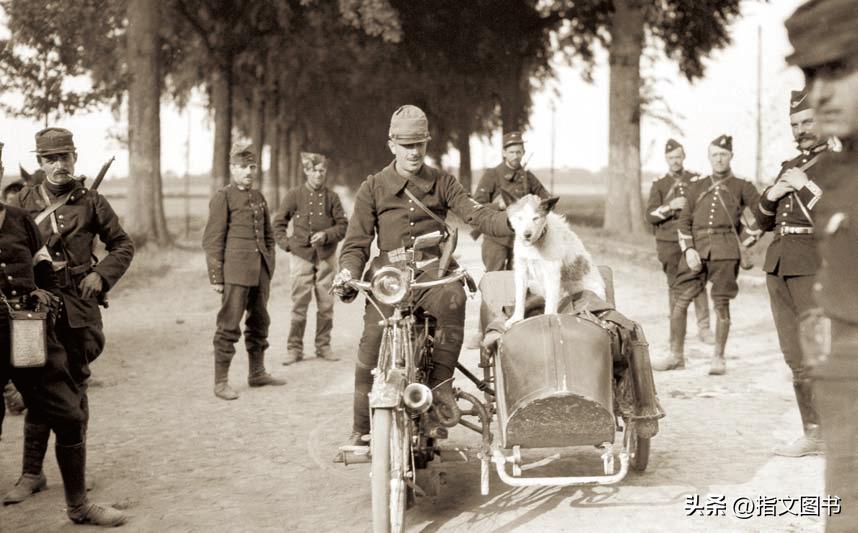 没有黄油，只有大炮：饥饿的后方